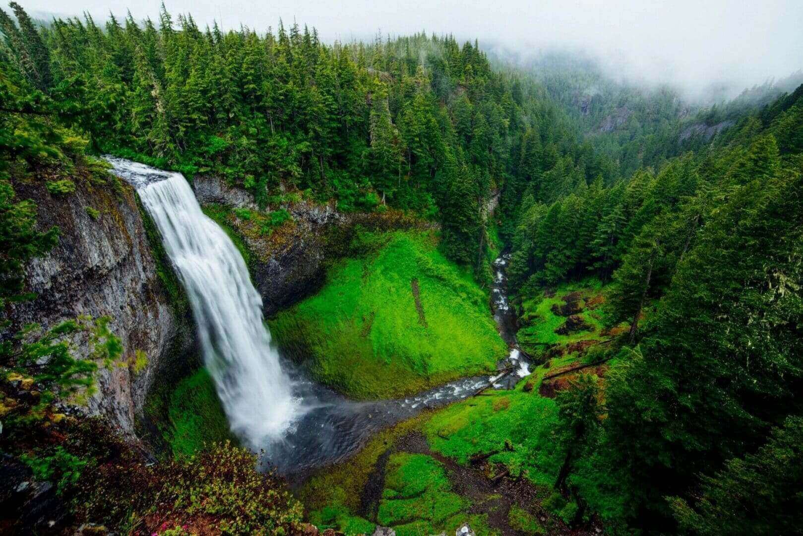 Lush green forest waterfall vista